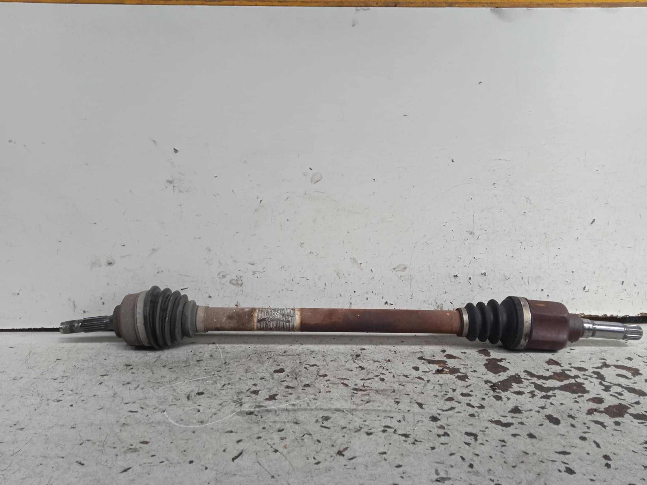 Semialbero ant. compl. dx.